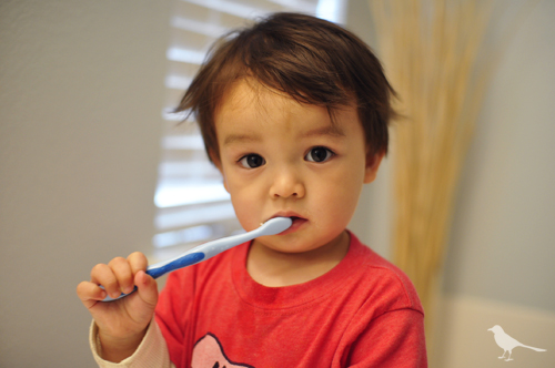 Teaching Proper Oral Hygiene to Your Toddler (1)