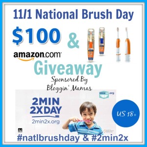 national brush day giveaway