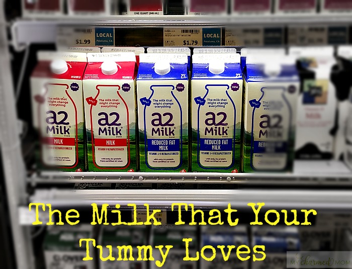 The Milk That Your Tummy Loves